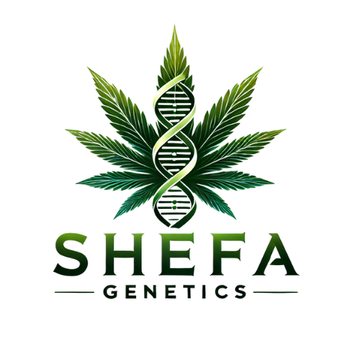 Shefa Genetics